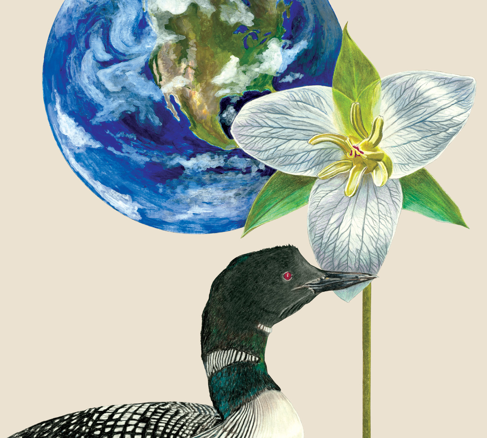 Spring 1990 (The Other One)